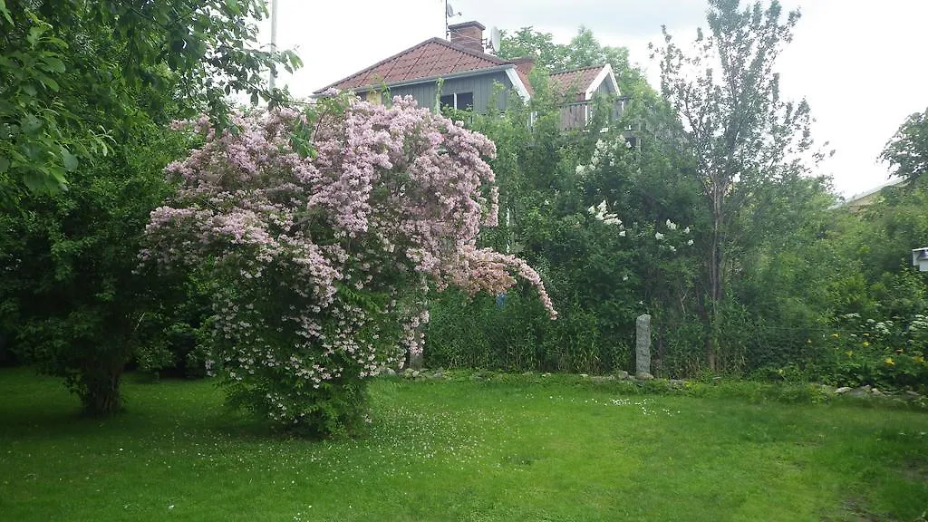 Bergsvägen Bed&Breakfast-1